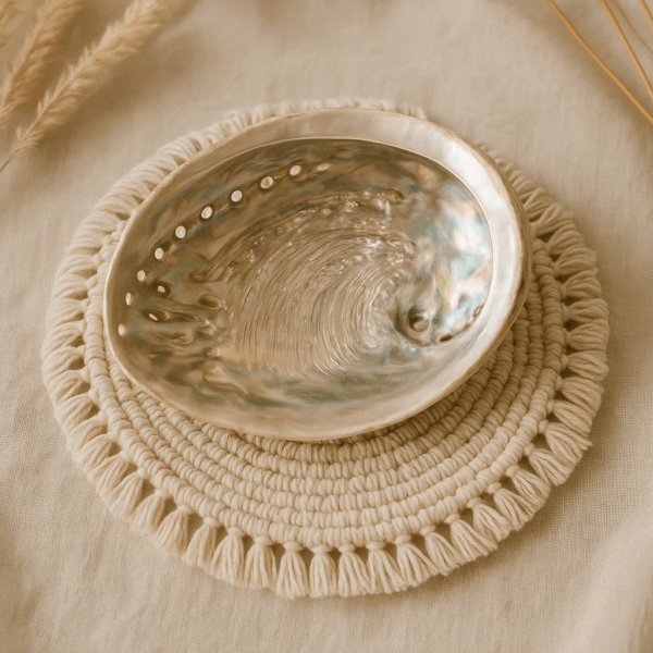 Coquille d’abalone naturelle – support de purification pour la sauge, le Palo Santo et les résines