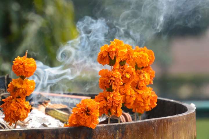 La fumigation et ses traditions 